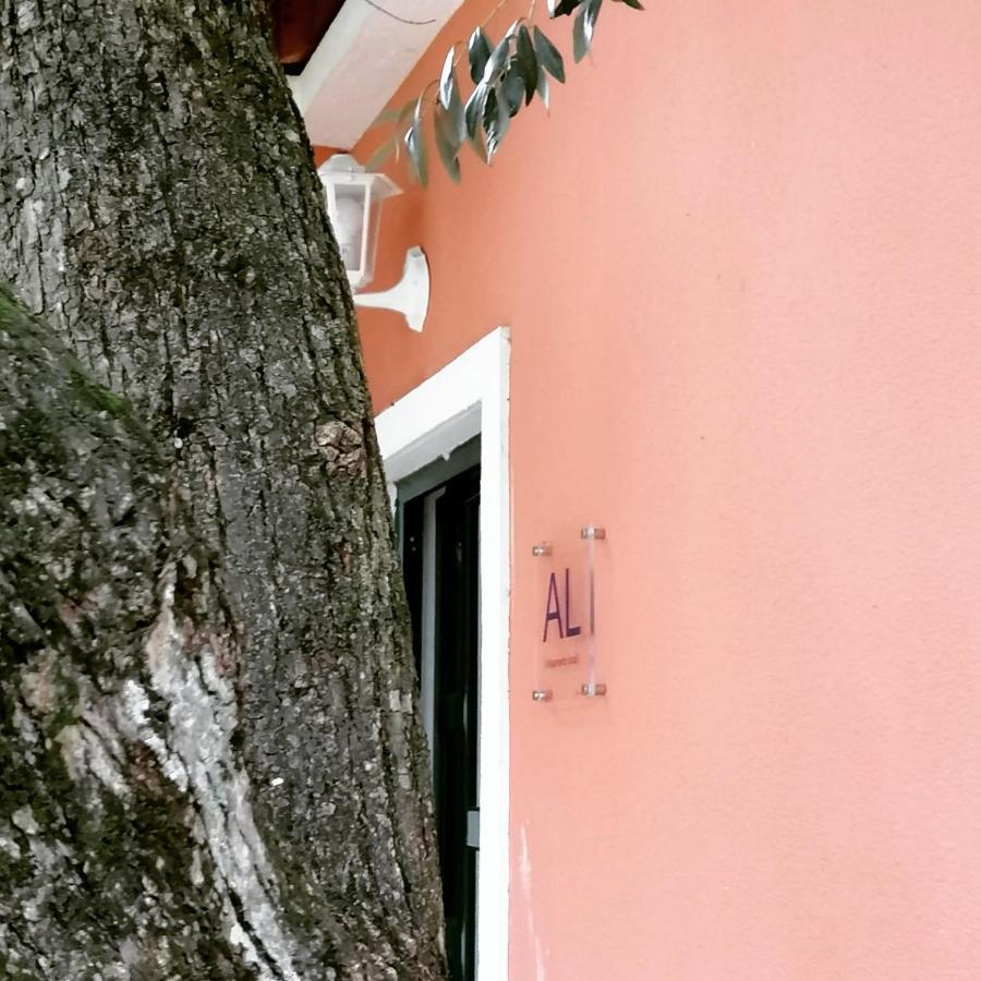 Casa Das Laranjeiras E Parque Infantil 阿泽陶 外观 照片