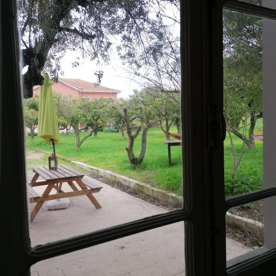 Casa Das Laranjeiras E Parque Infantil 阿泽陶 外观 照片
