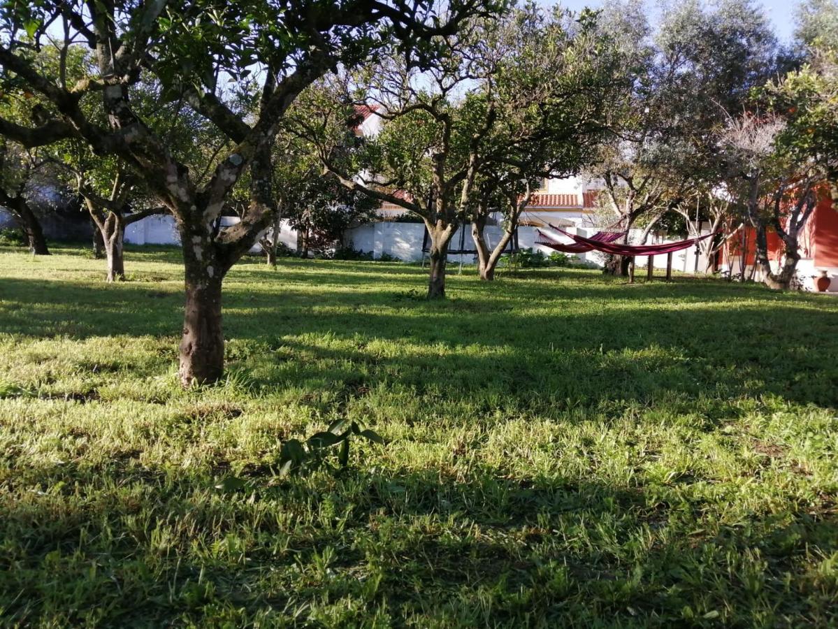 Casa Das Laranjeiras E Parque Infantil 阿泽陶 外观 照片