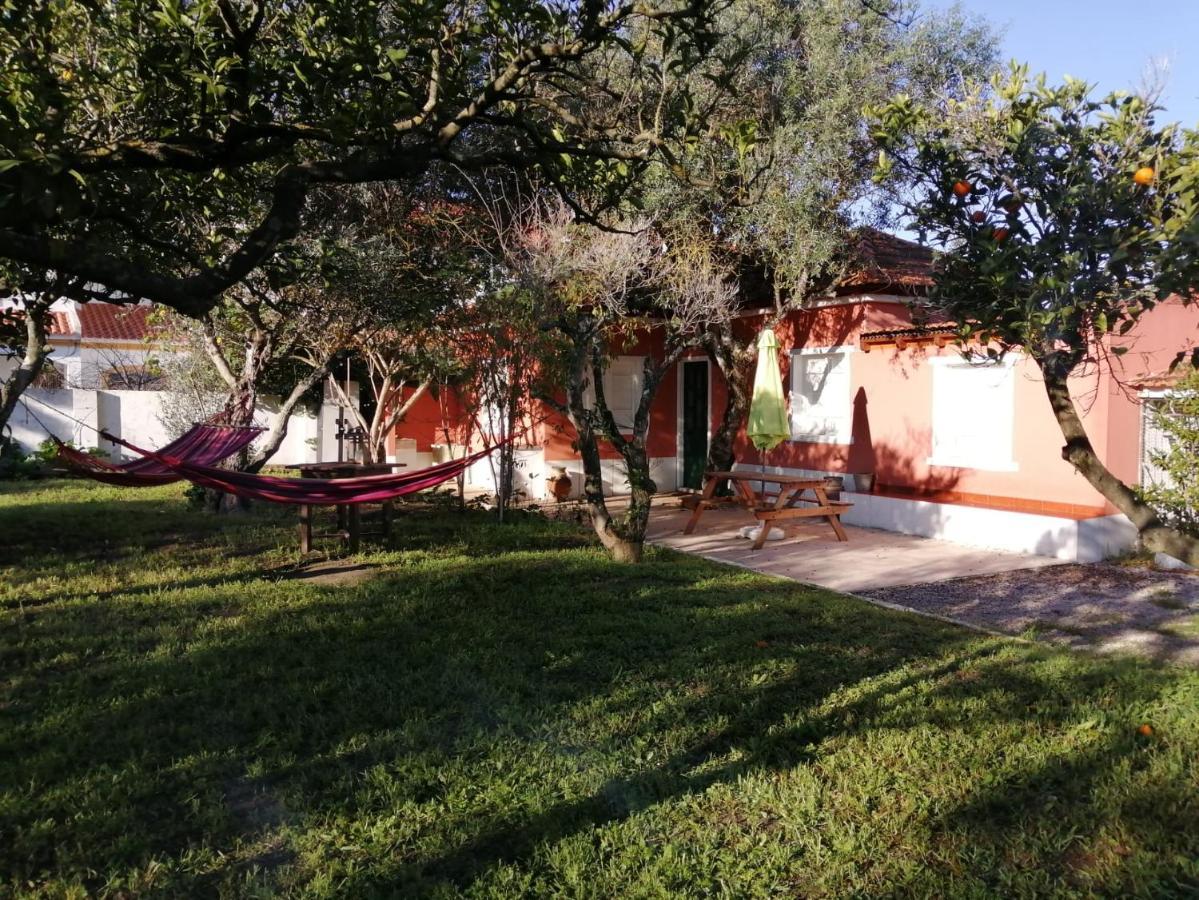 Casa Das Laranjeiras E Parque Infantil 阿泽陶 外观 照片