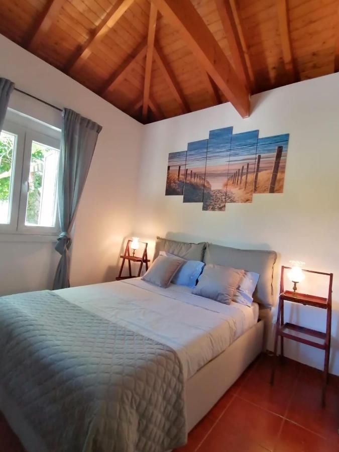 Casa Das Laranjeiras E Parque Infantil 阿泽陶 外观 照片